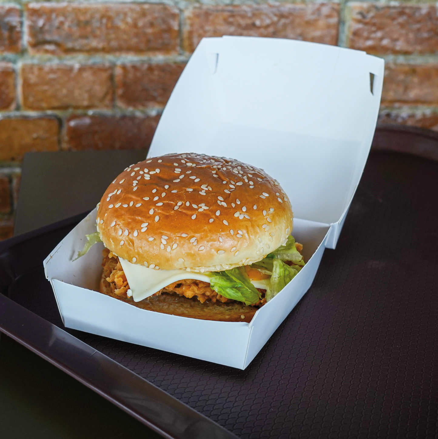 Disposable Burger Boxes
