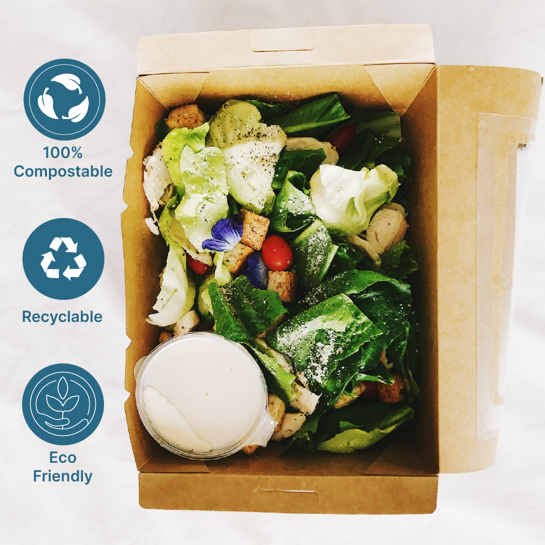 Disposable Lunch Box - Kaagat